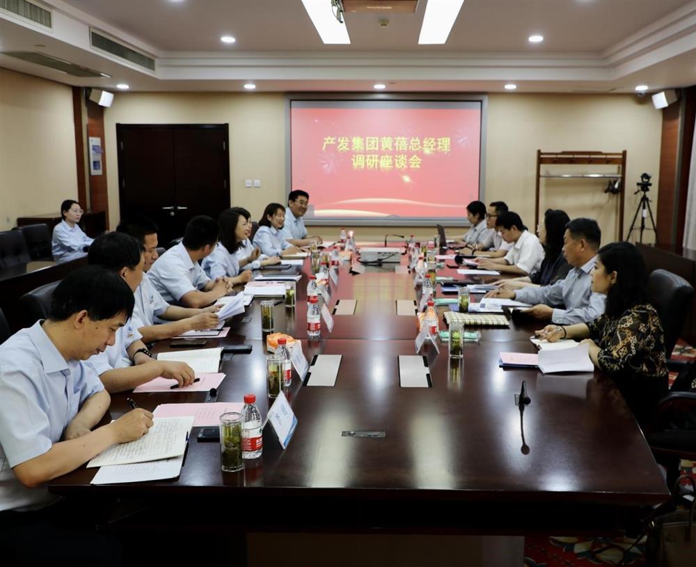 集團(tuán)黨委副書記、總經(jīng)理黃蓓帶隊調(diào)研濟(jì)南市工程咨詢院