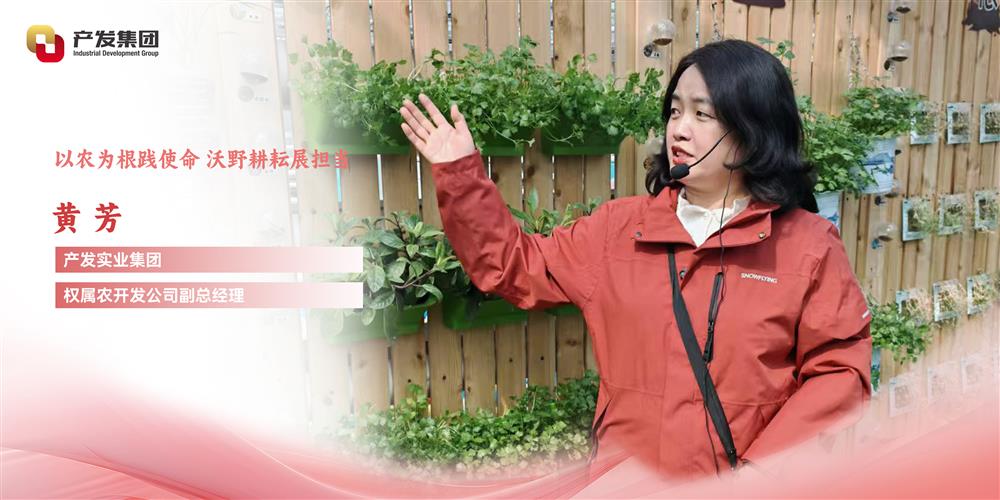 巾幗綻芳華 | 產(chǎn)發(fā)實業(yè)集團(tuán)權(quán)屬農(nóng)開發(fā)公司 黃芳：以農(nóng)為根踐使命，沃野耕耘展擔(dān)當(dāng)